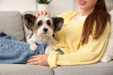 Biewer Terrier köpeğiyle evdeki kanepede uzanan genç kadın, yakın plan.