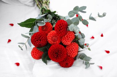 Yatak odasındaki kırmızı yıldız çiçeği buketi, yakın plan.