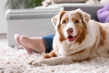 Avustralya çoban köpeği olan genç bir kadın evdeki ısıtıcının yanında oturuyor.