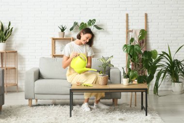 Gülümseyen genç kadın kanepede oturuyor ve oturma odasındaki çiçekleri suluyor.