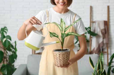 Gülümseyen genç bir kadın evdeki çiçekleri suluyor. Yakın çekim.