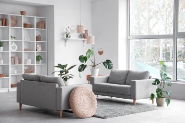 Gri kanepeleri, raf ünitesi ve bitkileriyle aydınlık oturma odasının içinde.