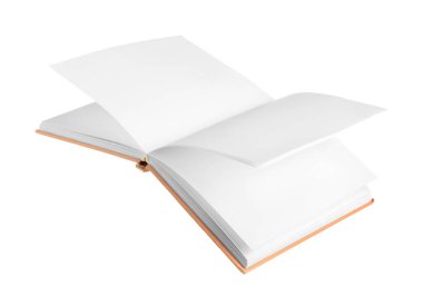 Beyaz arkaplan üzerine boş sayfaları olan uçan kitap