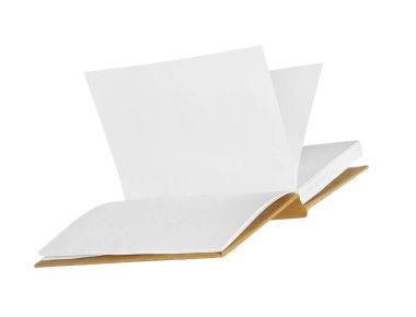 Beyaz arkaplan üzerine boş sayfaları olan uçan kitap