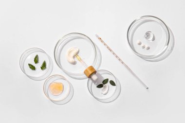 Hafif arka planda doğal kozmetik ürünleri örnekleri içeren petri kapları