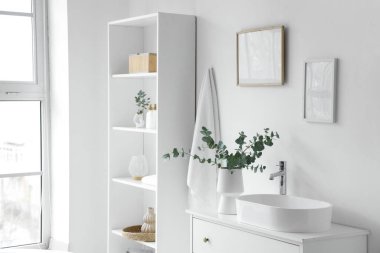 Okaliptüs dallı vazo ve banyodaki beyaz duvarın yanındaki çekmecelere batmak.