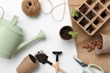 Beyaz arka planda fidanları olan bahçe aletleri. Üst görünüm