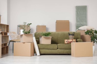 Taşındığı gün içinde karton kutular ve bitkiler olan yeşil kanepe.