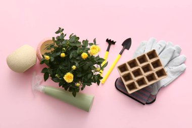 Çanakta güzel sarı bir gül ve pembe arka planda bahçe malzemeleri. Üst görünüm