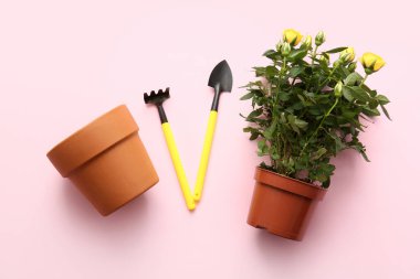 Çanakta güzel sarı bir gül ve pembe arka planda bahçe malzemeleri. Üst görünüm