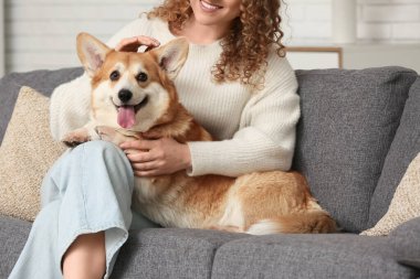 Kanepede oturan güzel genç bir kadın ve oturma odasında sevimli Corgi köpeğine sarılıyor.