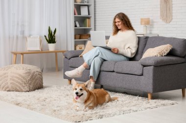 Dizüstü bilgisayarı olan genç bir kadın ve Corgi köpeği oturma odasında.