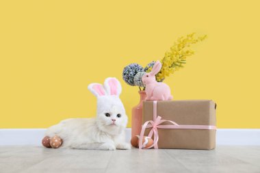 Paskalya yumurtası, hediye kutusu, oyuncak tavşan ve sarı duvarın yanında güzel çiçekler olan tavşan kulaklı şirin beyaz kedi.
