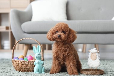 Paskalya yumurtası sepeti ve halıda oturan oyuncak tavşanlı sevimli oyuncak kaniş köpeği.