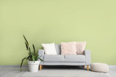 Oturma odasındaki yeşil duvarın yanında gri kanepe, puf ve çiçek var.
