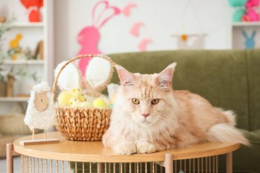 Paskalya sepeti ve masada oturan oyuncak koyunlu şirin Maine Rakunu kedisi.