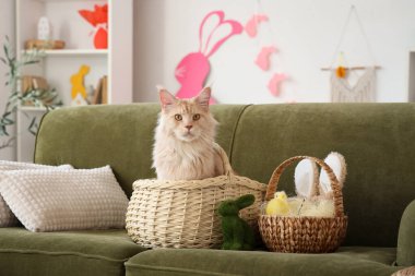 Paskalya sepetleri ve oturma odasındaki kanepede oyuncak tavşanlı şirin Maine Rakunu kedisi.