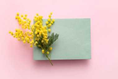 Pembe arka planda sarı mimoza çiçekleri olan boş bir kart.