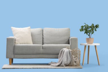 Şık gri kanepe, sehpa ve mavi arka planda çiçek.