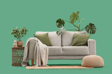 Yeşil arka planda şık gri kanepe, puf ve ev bitkileri