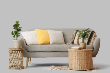 Yastıklı rahat bir kanepe, sepetler ve gri arka planda ev bitkileri.