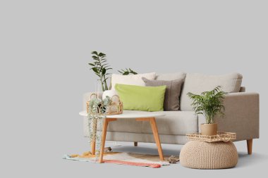 Yastıklı rahat kanepe, sehpa, puf ve gri arka planda ev bitkileri.