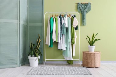Elbise askılığı, bitkiler ve yeşil katlama ekranlı butiğin içi.