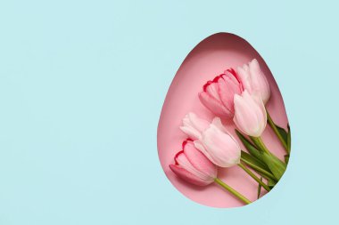 Güzel lale çiçekleri yumurta şeklindeki kağıttaki delikten görülebilir.