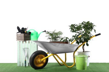 Bahçe malzemeleri, el arabası ve beyaz arka planda ev bitkileri.