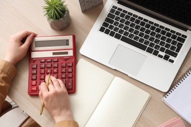 Hesap makinesi, defter, dizüstü bilgisayarı ve bitkisi olan kadın muhasebeci.