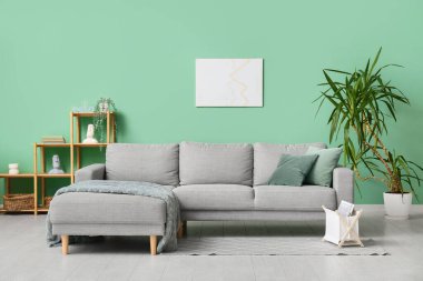 İçinde kanepe, raf ünitesi ve palmiye ağacı olan oturma odası.