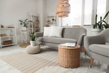 Konforlu kanepe, koltuk, sepet ve raflar oturma odasının içinde.