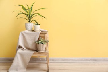 Sarı duvarın yanında yeşil çiçekli merdiven var.