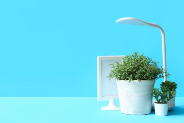 Mavi zemin üzerinde boş çerçeve ve lamba bulunan yapay ev bitkileri