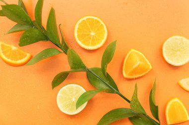 Renk arkaplanında bitki dalı olan turuncu ve limon parçaları