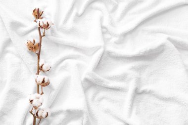 Beyaz battaniyede pamuk filizi
