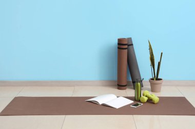 Cep telefonu, dambıl ve spor salonunda spor paspası olan bir dergi.