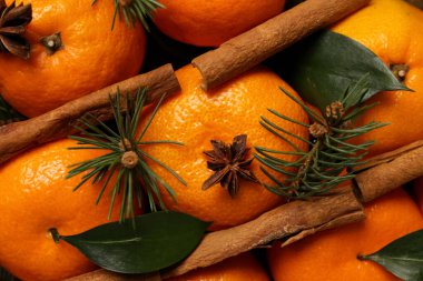 Closeup view of tasty tangerines with anise, cinnamon and fir branches as background