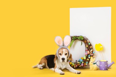 Paskalya dekoru ve sarı arka planda boş posteriyle tavşan kulaklı sevimli Beagle köpeği.