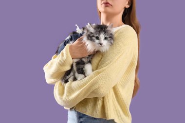 Sahibi, leylak arka planında kısırlaştırmadan sonra kurtarma giysisi içinde şirin bir kedi tutuyor.