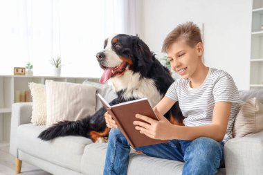 Bernese dağ köpeği olan küçük çocuk evdeki kanepede kitap okuyor.