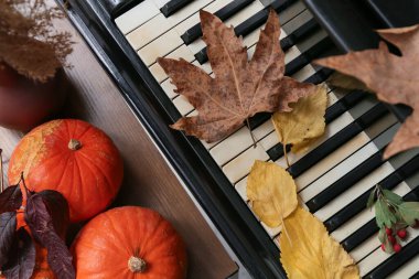 Piyano klavyesi ve sonbahar dekorasyonu. Üst görünüm