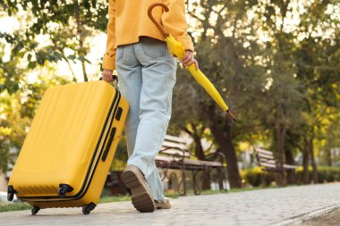 Bavulu ve şemsiyesi olan bir kadın sonbahar parkında yürüyor.