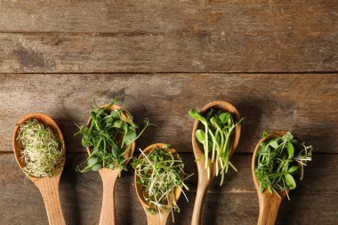 Ahşap arka planda farklı mikro yeşil kaşıklar