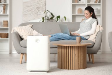 Evdeki koltukta dizüstü bilgisayar kullanan bir kadına karşı hava temizleyici.