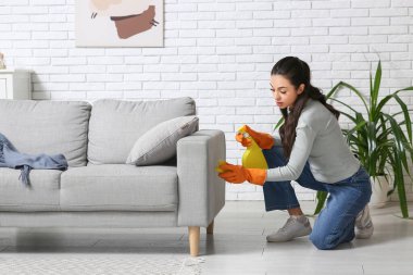 Sprey şişeli ve süngerli genç bir kadın evdeki kanepeden küf temizliyor.