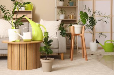 Oturma odasının içinde kanepe, yeşil bitkiler ve bahçe aletleri var.