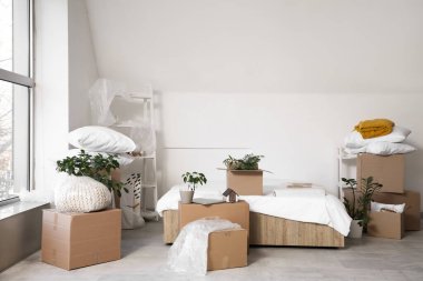 Taşındığı gün karton kutular ve bitkilerle dolu bir yatak.