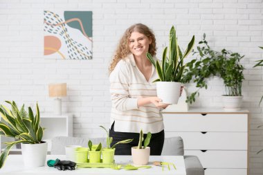 Evinde sansevieria bitkisi olan güzel genç bir kadın.