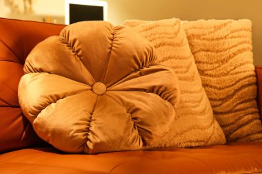 Oturma odasındaki rahat kanepede yatarlar. Yakın çekim.